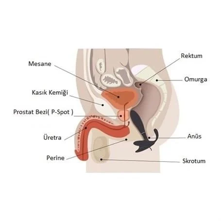 Anal & Prostat Stimulator 7 Farklı Titreşimli Anal Plug P-Spot Vibratör Beyaz - Görsel 4