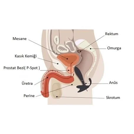 Anal & Prostat Stimulator 7 Farklı Titreşimli Anal Plug P-Spot Vibratör - Görsel 4